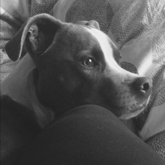 Meet your Posher, Lilia