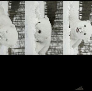 Meet your Posher, Lynn