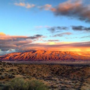 Meet your Posher, Nicolette