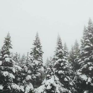 Meet your Posher, Rocio