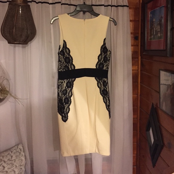Ivory and Lace Dress - Picture 2 of 4