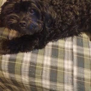 Meet your Posher, Kalada