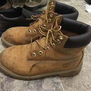 6 inch Tan timberlands