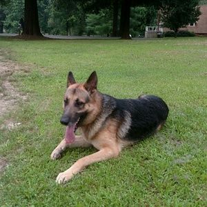 Meet your Posher, Miranda