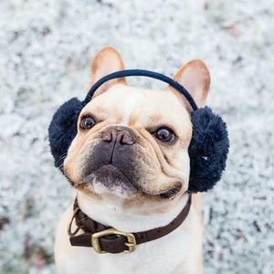 Meet your Posher, Elaina