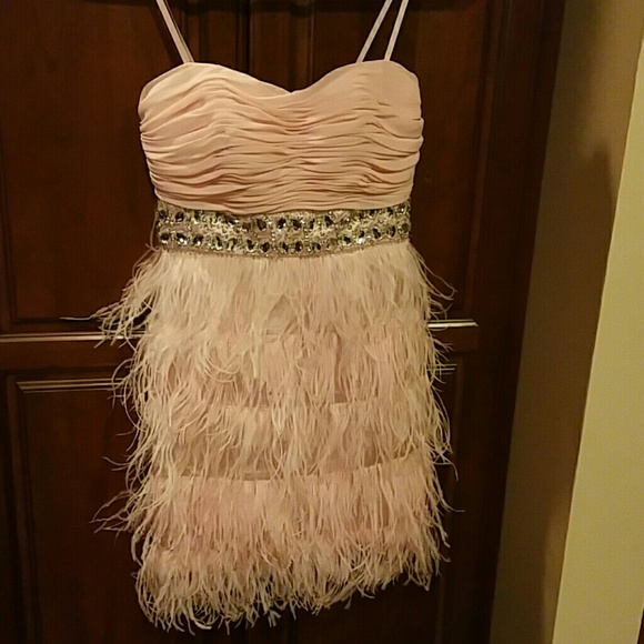 Pink Feather/Rhinestone Dress