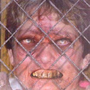 Meet your Posher, Sally