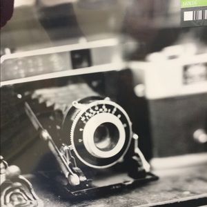 Meet your Posher, Bridget