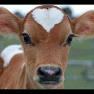 Meet your Posher, Madalyne