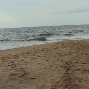 Meet your Posher, Nikki