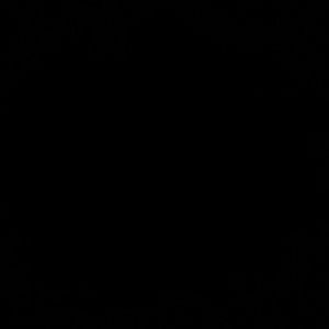 Meet your Posher, Court