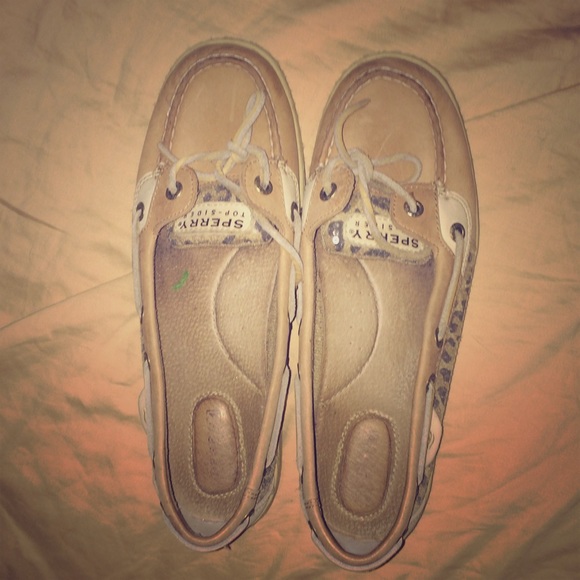 cheetah sperrys