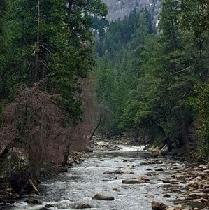 Meet your Posher, Luis