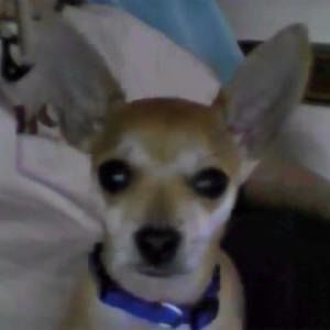 Meet your Posher, Deborah