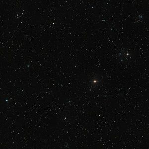 Meet your Posher, Lilly