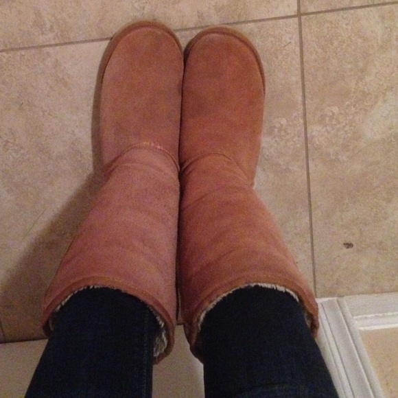 Chestnut Uggs