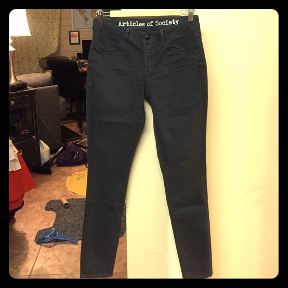 Articles of Society Gray Skinny Jeans