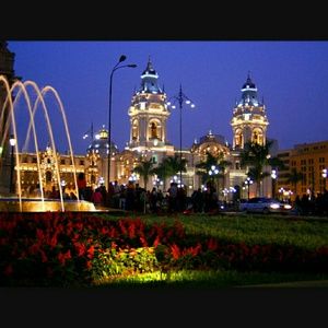 Meet your Posher, Patricia