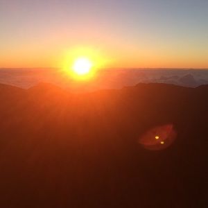 Meet your Posher, Sophie