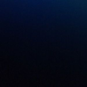 Meet your Posher, Thuy