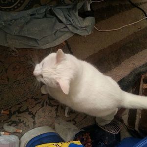 Meet your Posher, Timothy