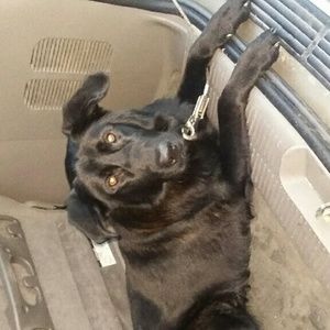 Meet your Posher, Jamie