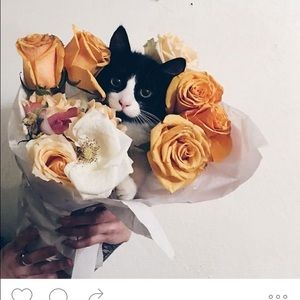 Meet your Posher, Mallory