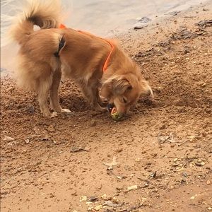 Meet your Posher, Stefanie