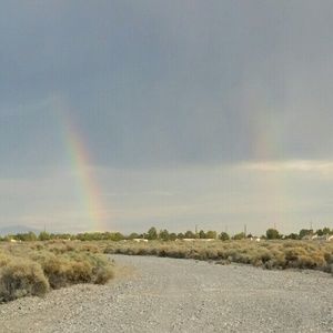 Meet your Posher, Adrian