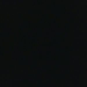 Meet your Posher, Anissa