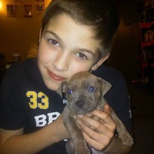 Meet your Posher, Renee