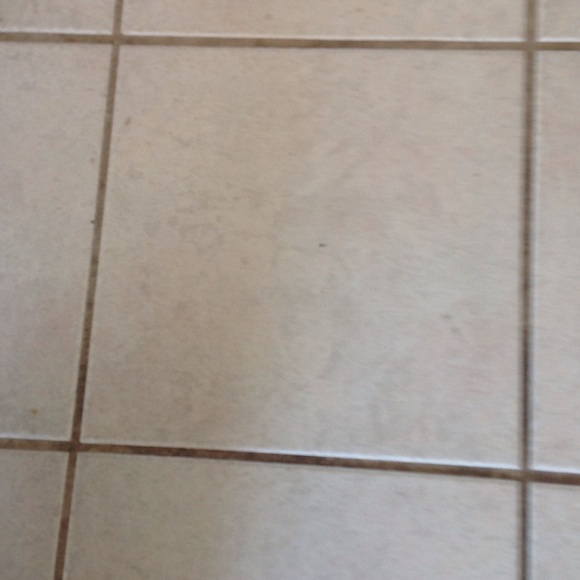 Meet your Posher, Cindy - Picture 1 of 1