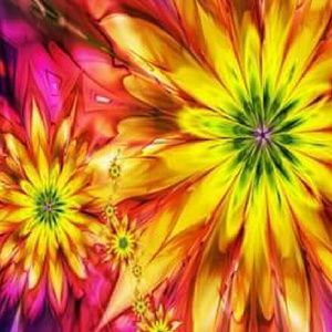 Meet your Posher, Jill