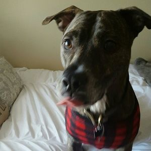 Meet your Posher, Kirsten