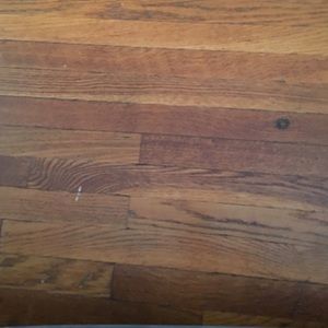 Meet your Posher, Lasya reddy