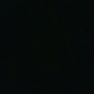 Meet your Posher, Reva