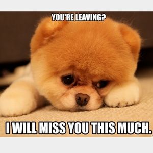 🏃🏻💨 leaving? Come join on Ⓜ️