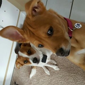 Meet your Posher, Clay