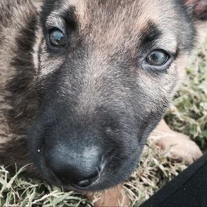 Meet your Posher, Randy