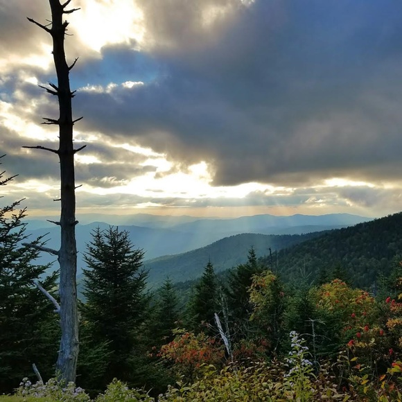 Meet your Posher, Jessica - Picture 1 of 1