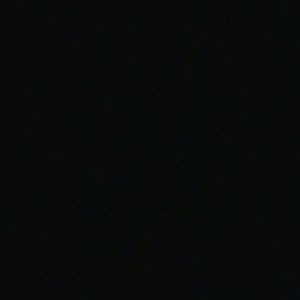 Meet your Posher, Sheena