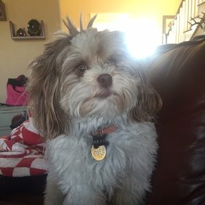 Meet your Posher, Edie