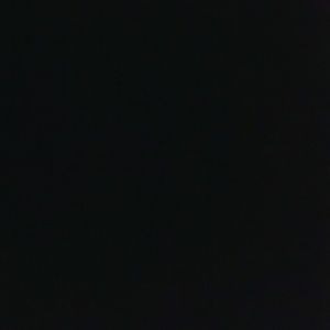 Meet your Posher, Daisy