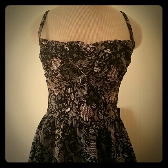 Stop Staring! Retro Jennifer Swing Dress Pink Lace