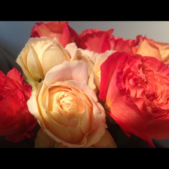 Meet your Posher, Chrissy - Picture 1 of 1