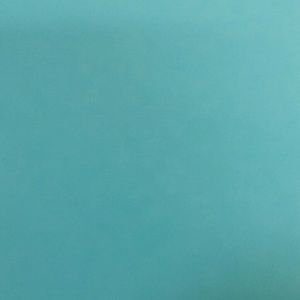 Meet your Posher, Tricia