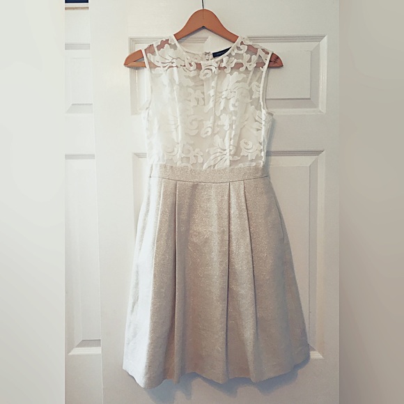 Embroidered Metallic Fit Flare Dress