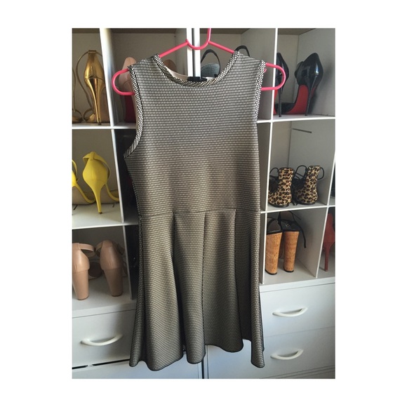 Zara mesh skater dress