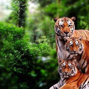 Meet your Posher, Lena