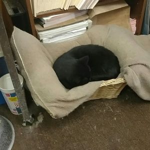 Meet your Posher, Brittney